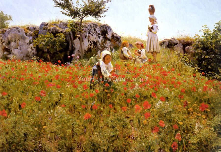 Picking Poppies, Sora - 维果·佩德森